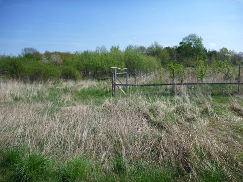 Foto 37